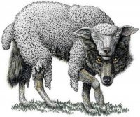 Wolves in sheeps clothing