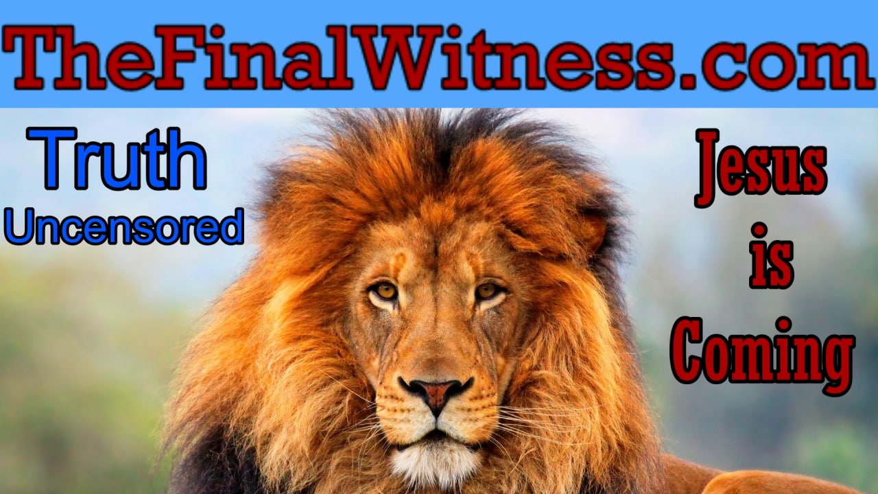 The Final Witness